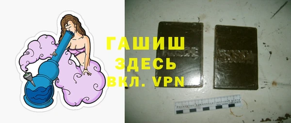 стафф Ельня