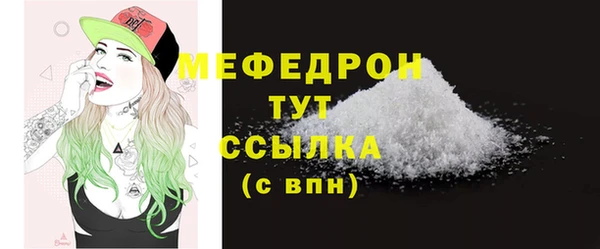 стафф Ельня