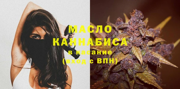 стафф Ельня