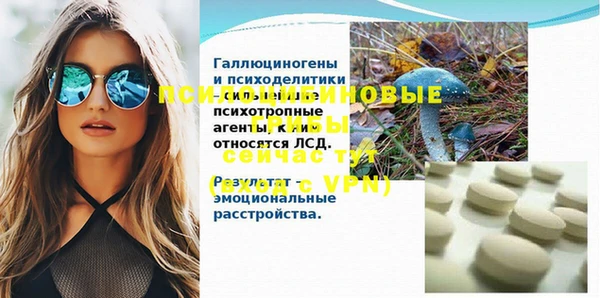 стафф Ельня