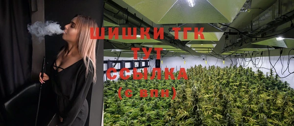 стафф Ельня