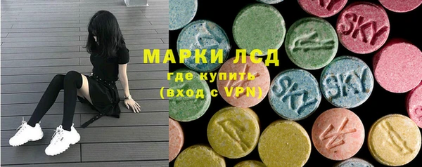 стафф Ельня
