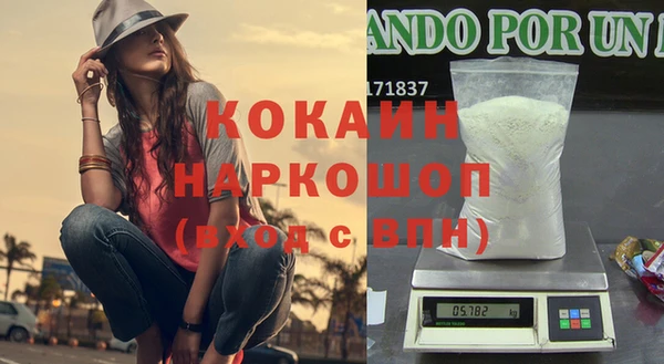 стафф Ельня
