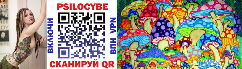 Купить где Бутурлиновка Псилоцибиновые грибы MAGIC MUSHROOMS